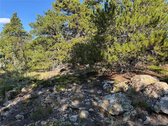 1 Peak View Dr, Black Hawk, CO 80422