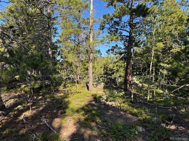 1 Peak View Dr, Black Hawk, CO 80422
