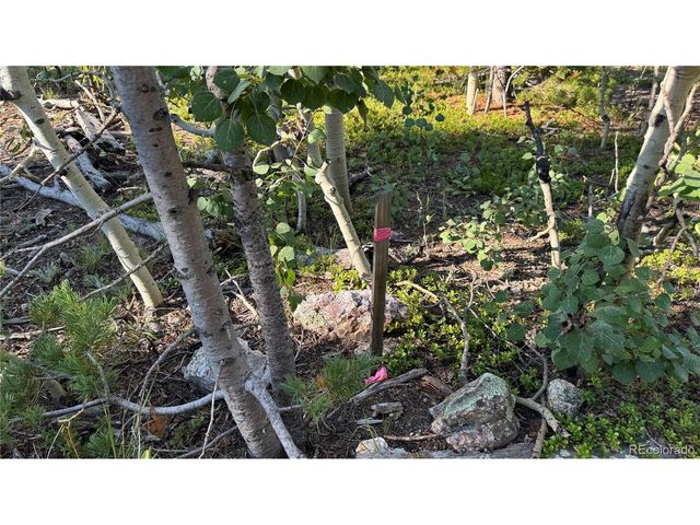 1 Peak View Dr, Black Hawk, CO 80422