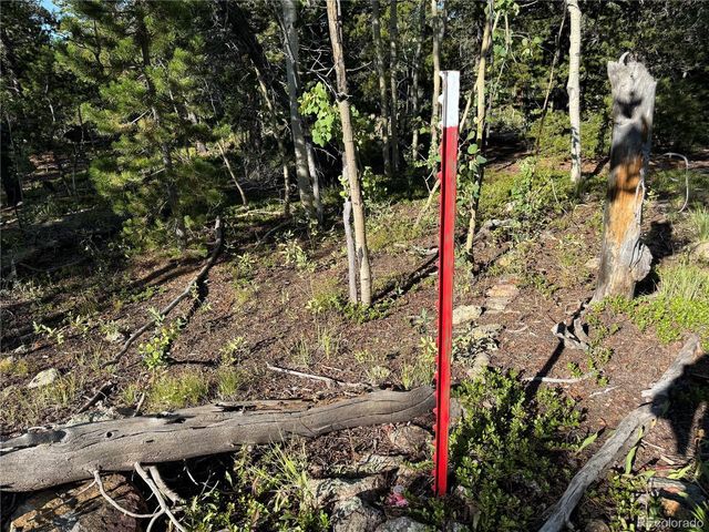 1 Peak View Dr, Black Hawk, CO 80422
