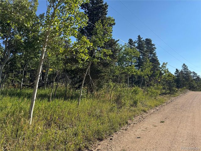 1 Peak View Dr, Black Hawk, CO 80422