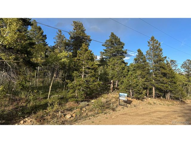 1 Peak View Dr, Black Hawk, CO 80422