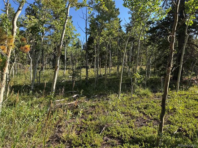 1 Peak View Dr, Black Hawk, CO 80422