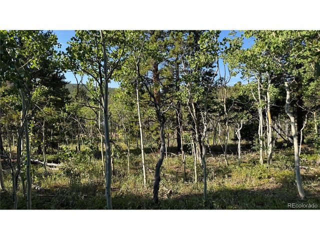 1 Peak View Dr, Black Hawk, CO 80422