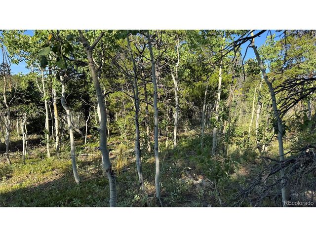1 Peak View Dr, Black Hawk, CO 80422