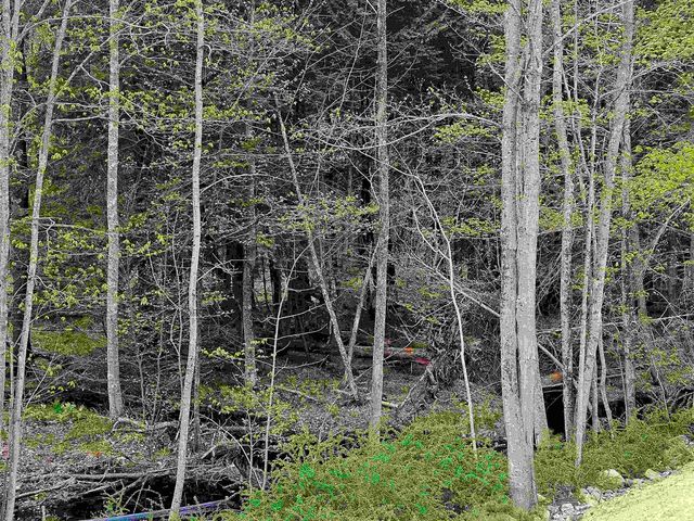 86 Spring Street, Farmington, NH 03835