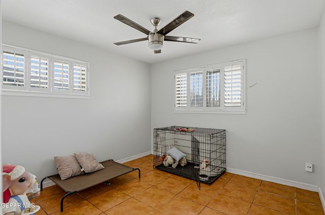 10101 CHINABERRY Drive, El Paso, TX 79925