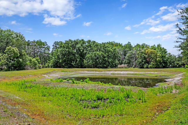 3122 MAJESTIC VIEW DRIVE, Lutz, FL 33558