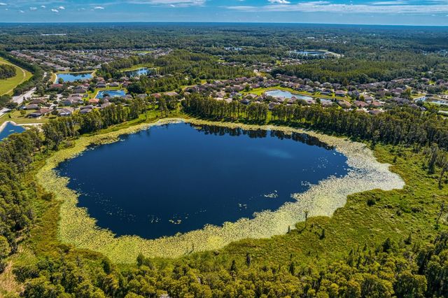 3122 MAJESTIC VIEW DRIVE, Lutz, FL 33558
