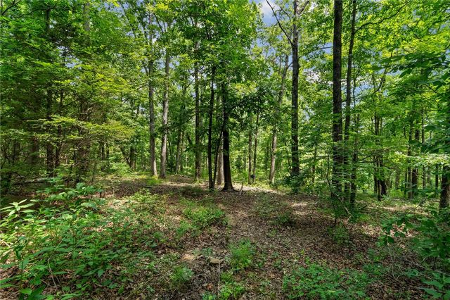 21027 Carter Road, West Fork, AR 72774