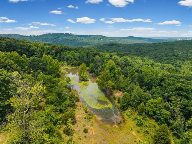 21027 Carter Road, West Fork, AR 72774