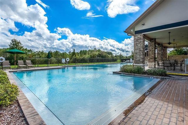 20400 FALLING ROCK DRIVE, Land O Lakes, FL 34638