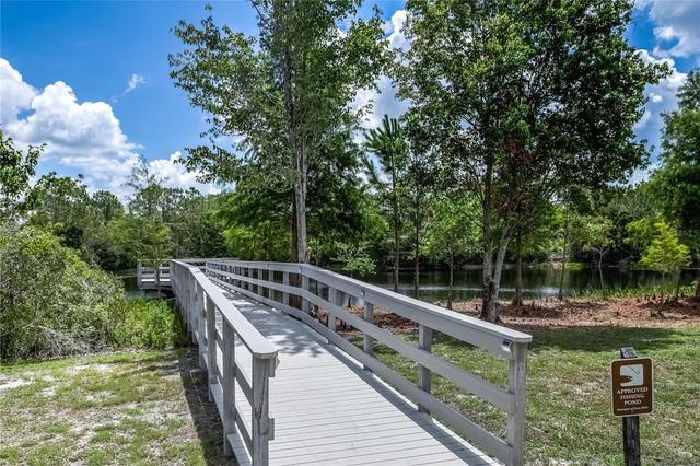 20400 FALLING ROCK DRIVE, Land O Lakes, FL 34638