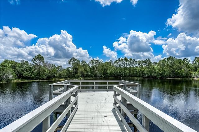 20400 FALLING ROCK DRIVE, Land O Lakes, FL 34638