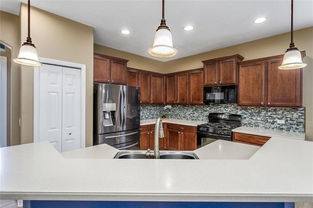 20400 FALLING ROCK DRIVE, Land O Lakes, FL 34638