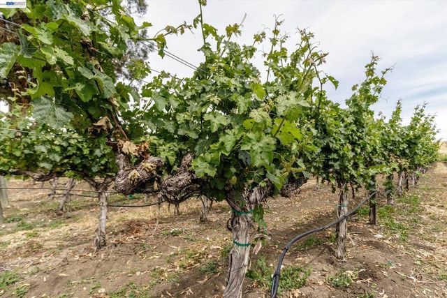 3001 Lusitana Dr, Livermore, CA 94550