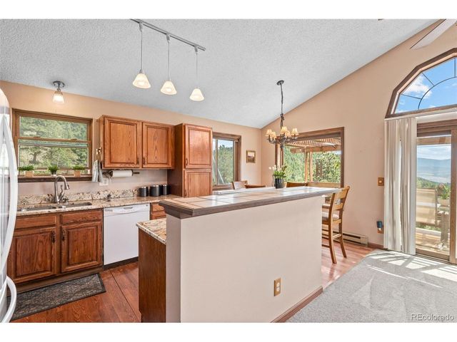 13976 Wamblee Trl, Conifer, CO 80433