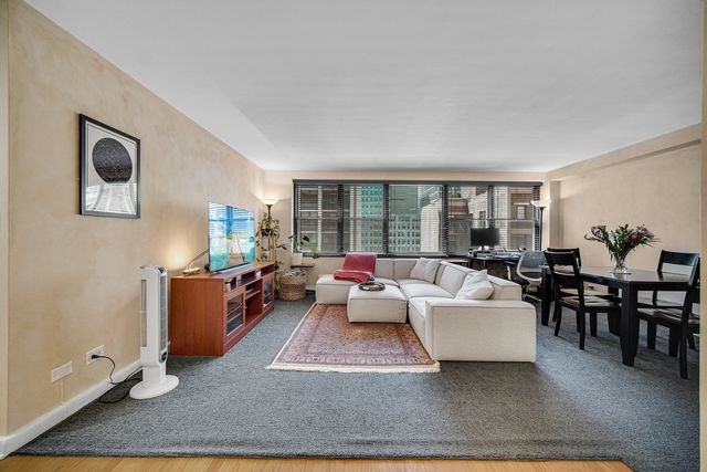 850 N Dewitt Place 17H, Chicago, IL 60611