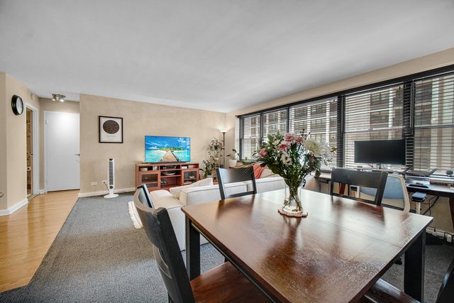 850 N Dewitt Place 17H, Chicago, IL 60611