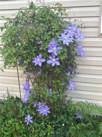 2358 Mount Vernon Avenue, Murrysville, PA 15632