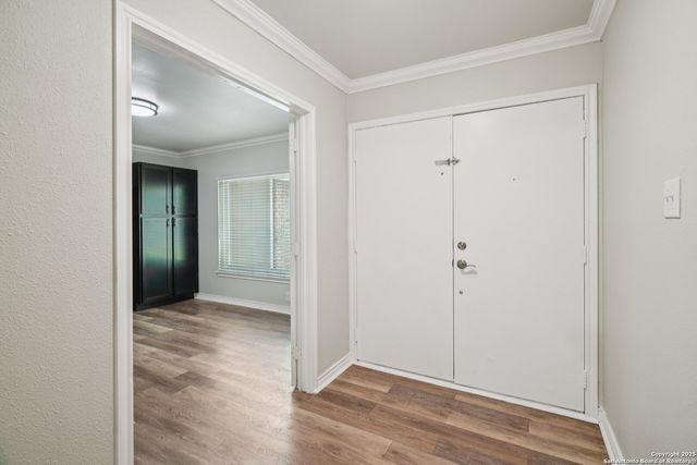 11930 Holm Oaks, San Antonio, TX 78249