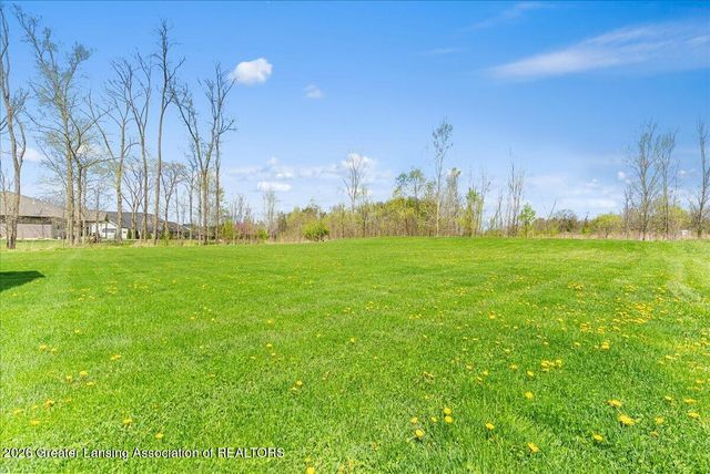 4580 Dimond Way, Dimondale, MI 48821