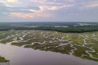 0 Sheffield Island Road 6, Woodbine, GA 31569