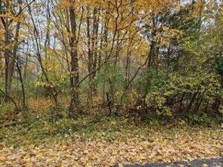 V/L Macbeth Avenue, South Haven, MI 49090