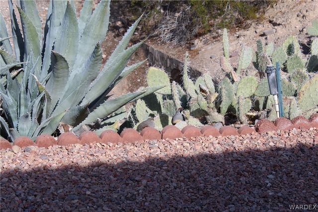 2000 Ramar Road 223, Bullhead City, AZ 86442