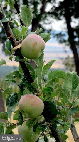 2828 HEIDLERSBURG RD, Biglerville, PA 17307