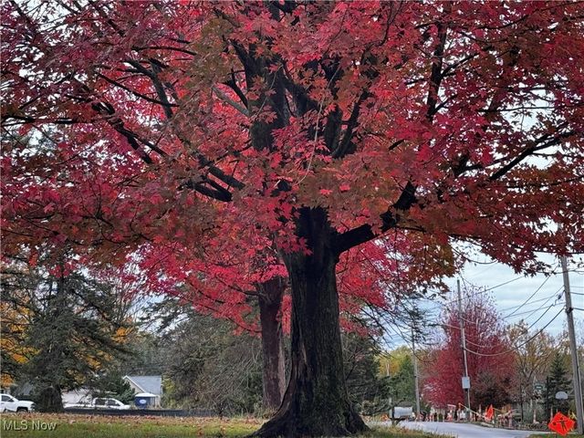 25911 Tryon Road, Oakwood Village, OH 44146