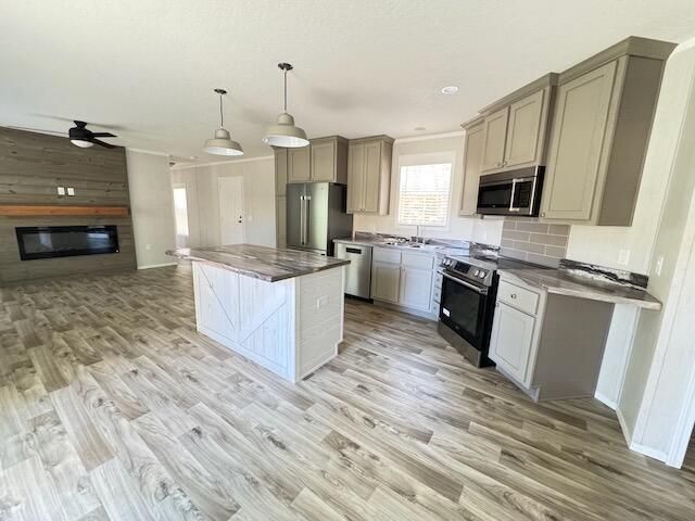 1303 Mitchell Circle, Summerville, GA 30747