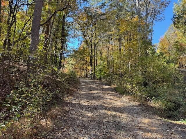 1303 Mitchell Circle, Summerville, GA 30747