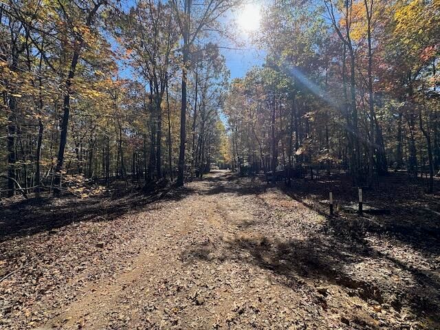 1303 Mitchell Circle, Summerville, GA 30747