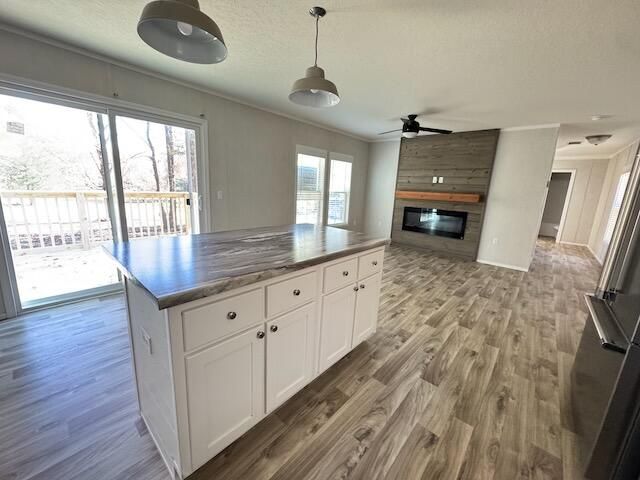 1303 Mitchell Circle, Summerville, GA 30747