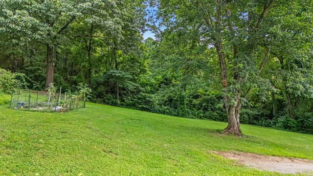 415 Farrell Street, West Plains, MO 65775