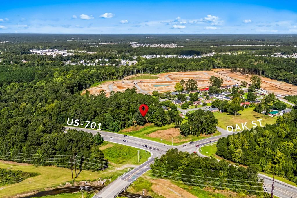 TBD W Mill Pond Rd., Conway, SC 29527 — photo 2