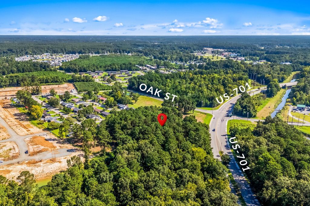 TBD W Mill Pond Rd., Conway, SC 29527 — photo 4