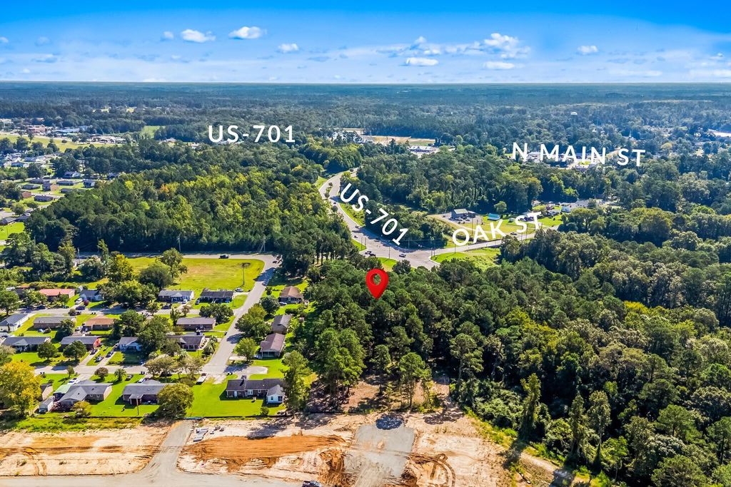 TBD W Mill Pond Rd., Conway, SC 29527 — photo 5