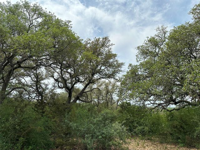 unk 114ac CR 330, Bertram, TX 78605