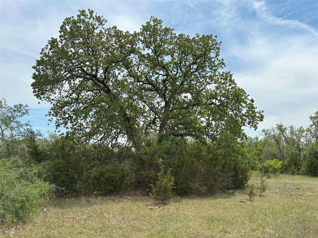 unk 114ac CR 330, Bertram, TX 78605