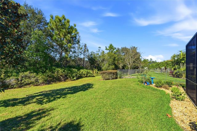 20112 SORANO HILL PLACE, Tampa, FL 33647