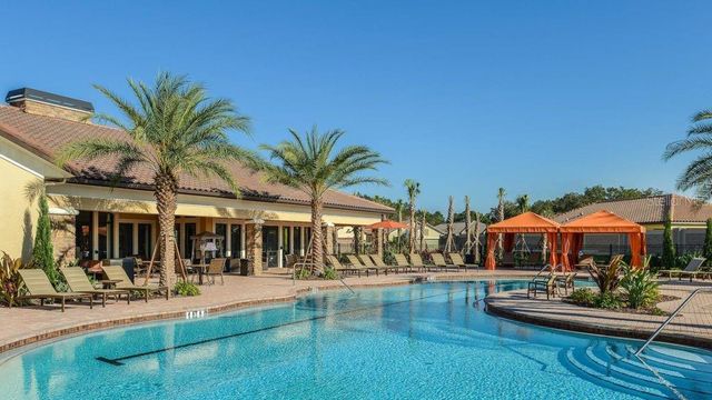 20112 SORANO HILL PLACE, Tampa, FL 33647