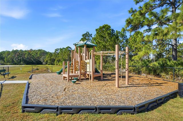 20112 SORANO HILL PLACE, Tampa, FL 33647