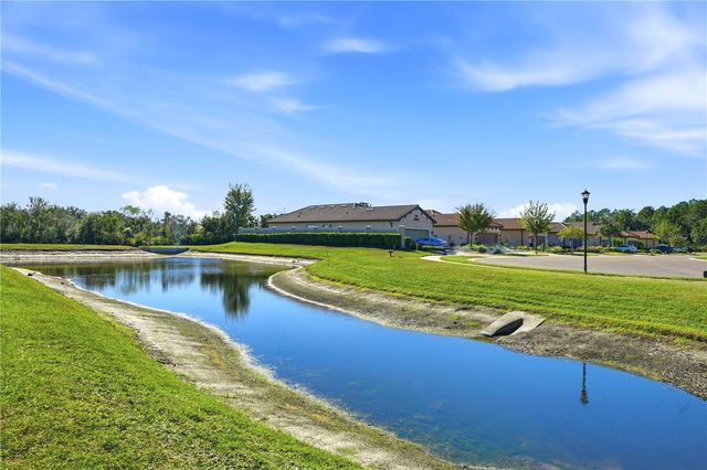 20112 SORANO HILL PLACE, Tampa, FL 33647