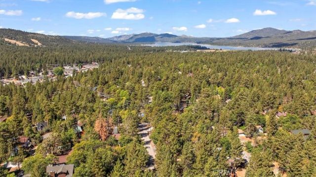1160 W Alta Vista, Big Bear City, CA 92314