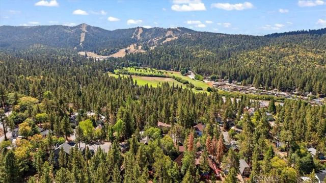 1160 W Alta Vista, Big Bear City, CA 92314