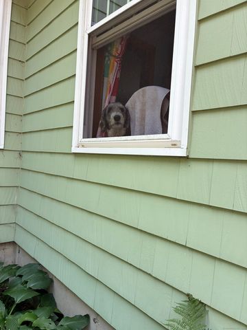 186 Mill Street, Hartland, CT 06065