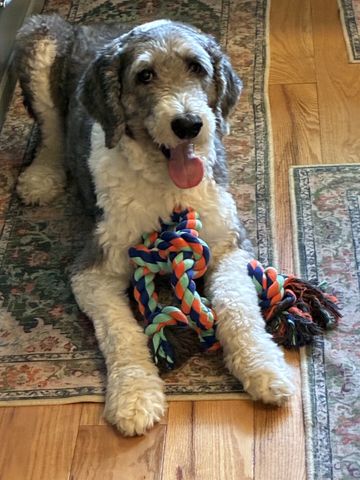 186 Mill Street, Hartland, CT 06065