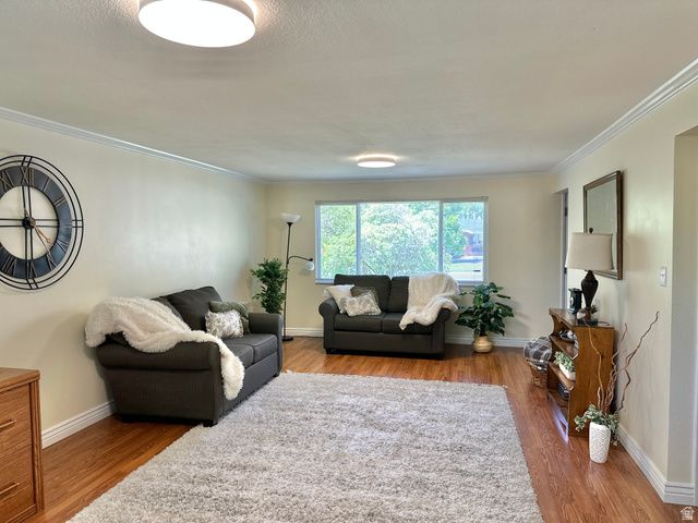 624 E CUTLER, Springville, UT 84663